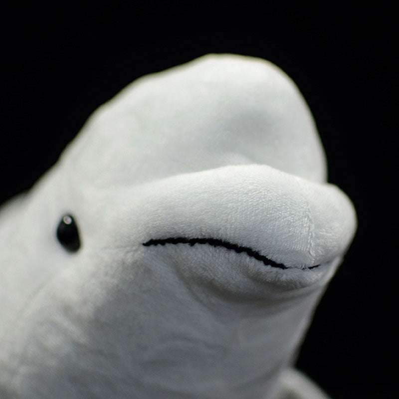 Beluga White Whale Soft Stuffed Plush Toy