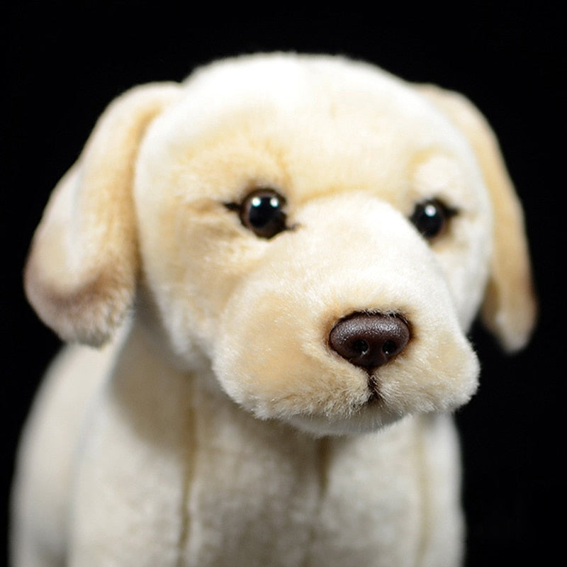 Goldener Labrador-Welpen-Hund, weiches Plüschtier